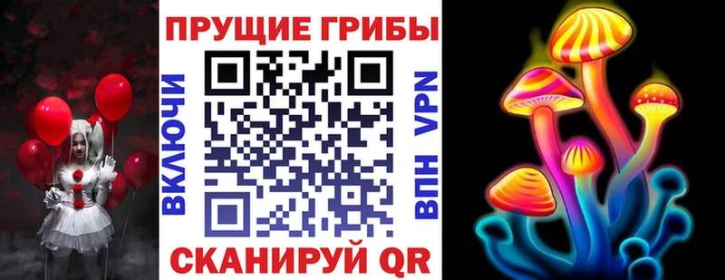 Купить где  Алатырь  Галлюциногенные грибы мицелий 